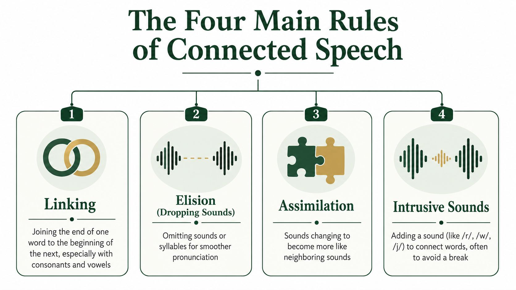 An infographic showing the four main rules of connected speech: linking, elision, assimilation, and intrusive sounds.