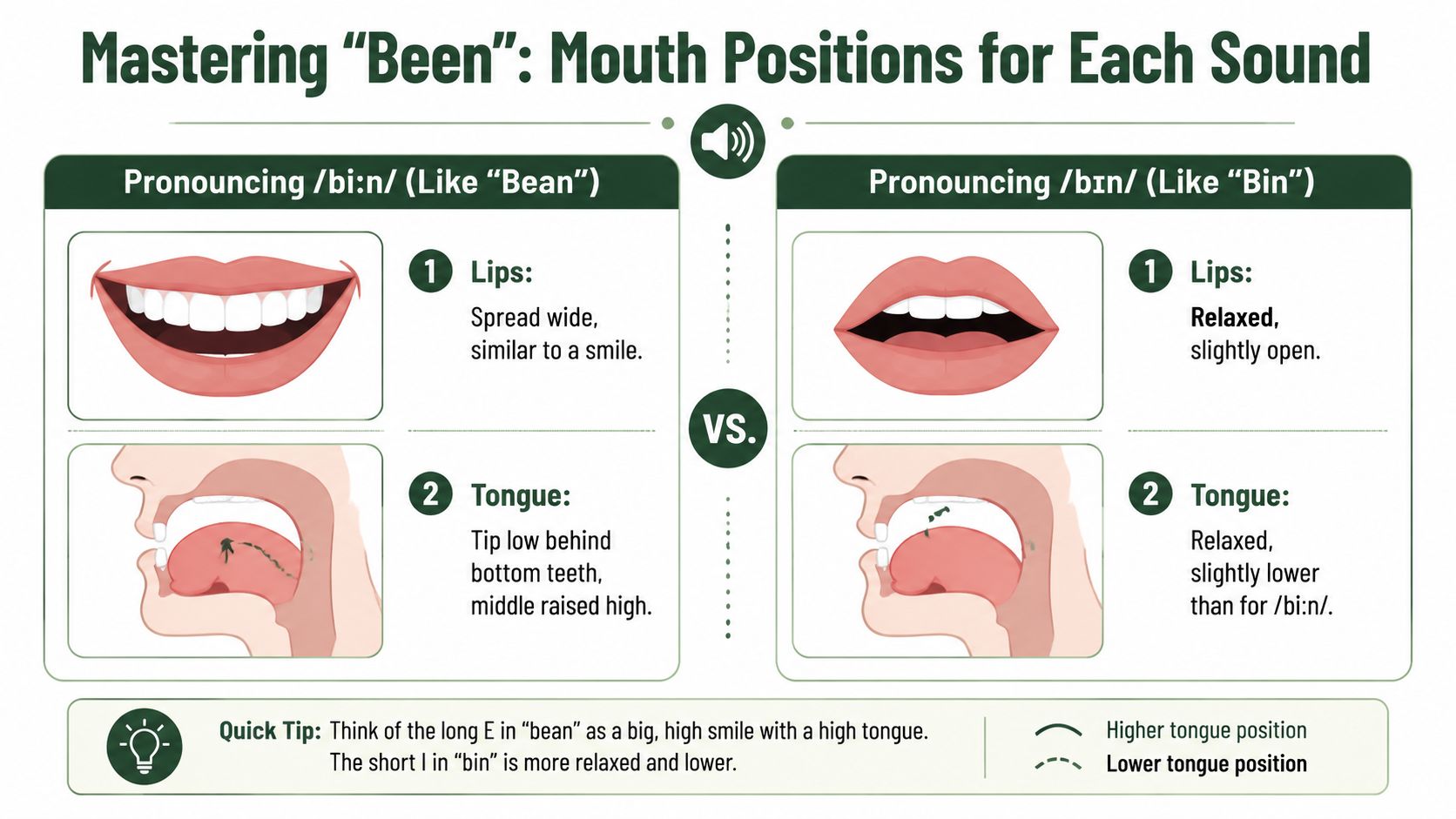 An educational graphic illustrating how to pronounce been with mouth and tongue positions for different variations.